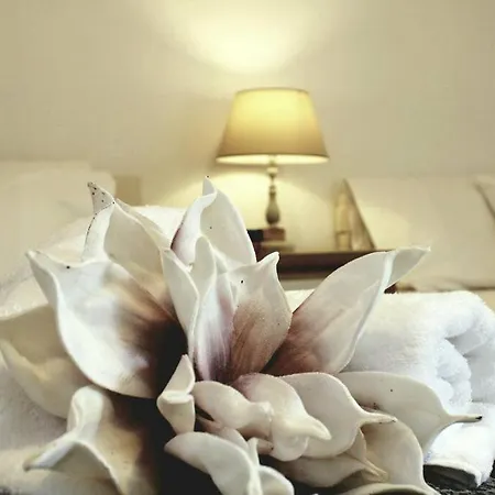 Sunrise * 안티팍소스